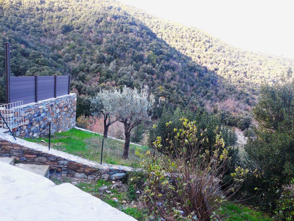 Saint Christophe Omessa Bagian luar foto